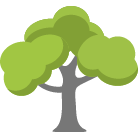 Conroe Tree Trimming