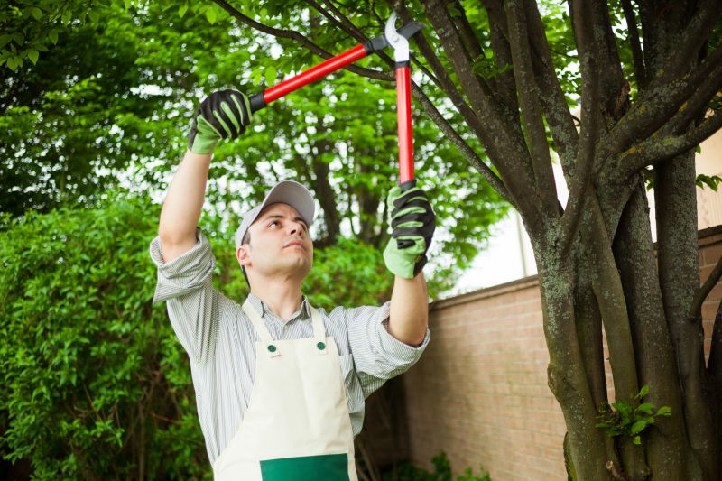 Specialized Pruning Experts